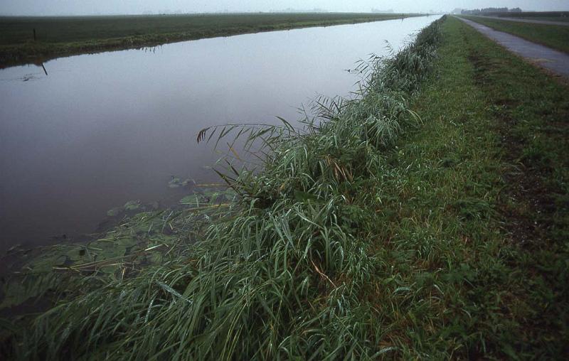 RWT 0222 249-20 Netherlands Flatness.jpg